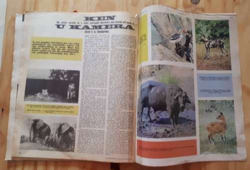 Die Brandwag 27 Augustus 1965 tydskrif