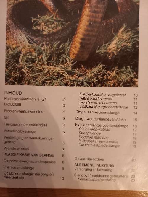 Slange van Suider-Afrika