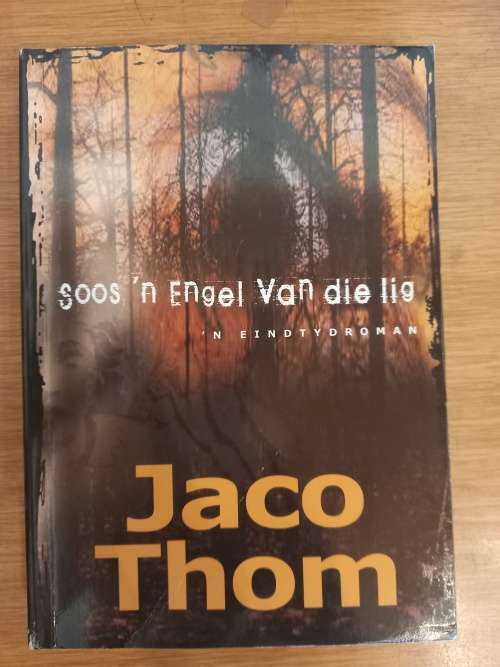 Soos `n Engel van die lig (Eindtydroman) - Jaco Thom (2006)