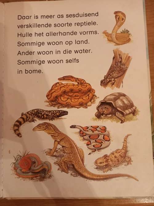 Eerste Diereboek REPTIELE