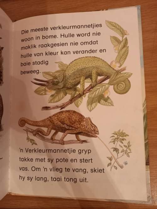 Eerste Diereboek REPTIELE
