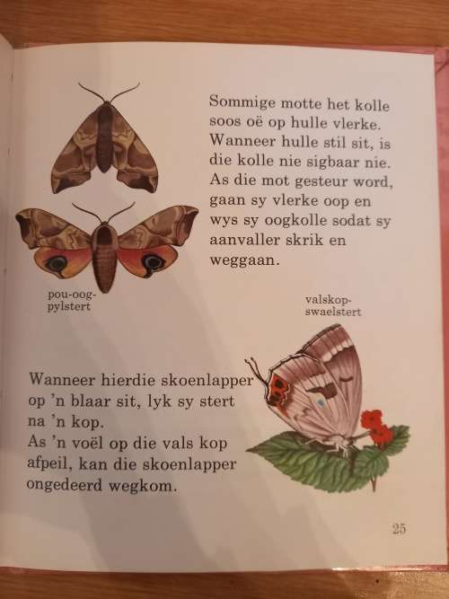 Eerste Biblioteek Nr 35 - Skoenlappers en Motte
