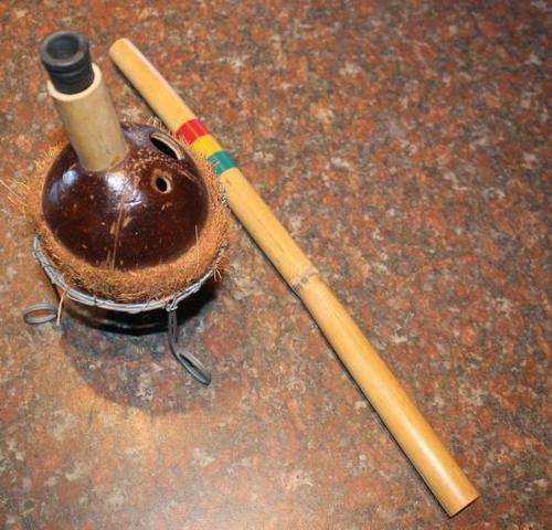 Novelty Coconut Bong