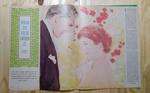 Die Brandwag 25 Junie 1965 tydskrif