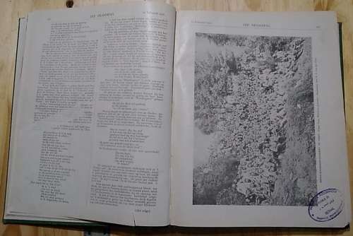 Die Brandwag Feb 1911 - Okt 1911 Versameling
