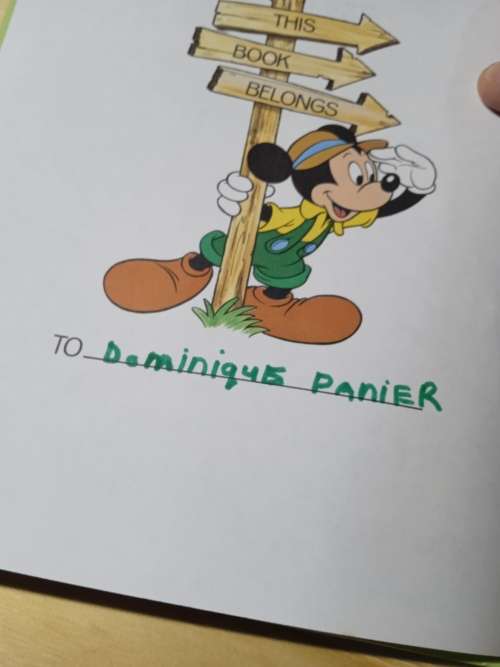 Painting the town, an adventure in France - Disney`s small world library