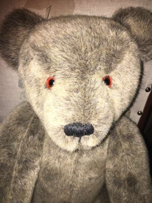 60cm teddy bear