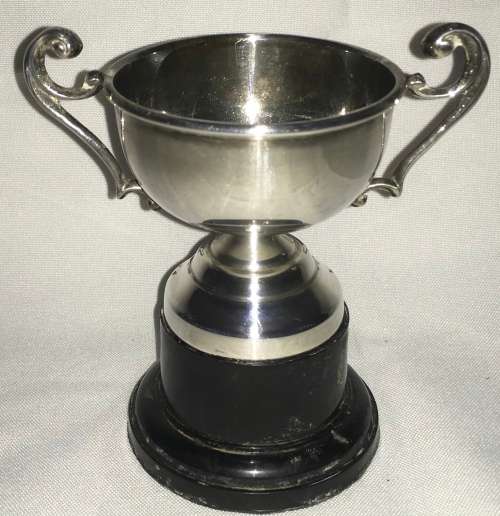 Trophy cup - EPNS