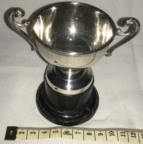 Trophy cup - EPNS