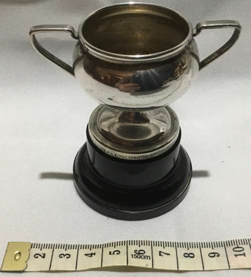 Trophy cup - EPNS