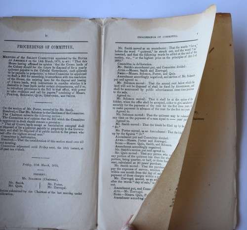 Report of the Select Committee Appointed to Consider and Report on Crown Lands Bill.