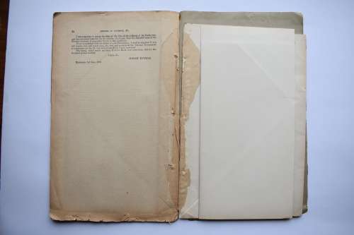 Report of the Northern Boundary of Griqualand West with Minutes etc.