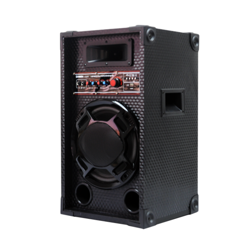 OMEGA Loud Speaker System X-AY2