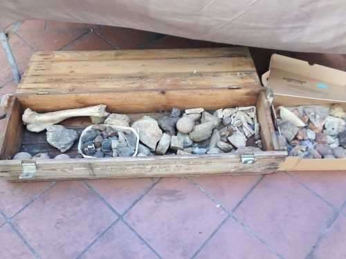 Fossils and Rocks