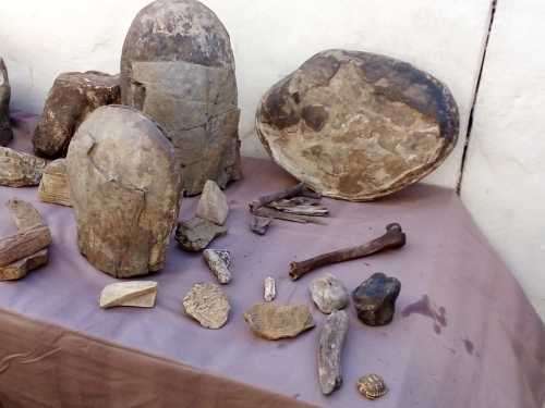 Fossils and Rocks