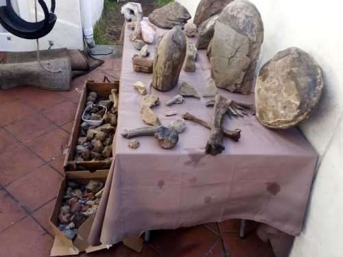 Fossils and Rocks