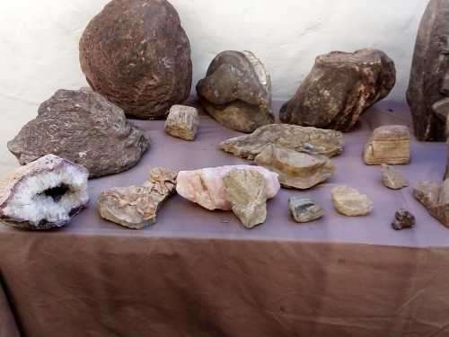 Fossils and Rocks