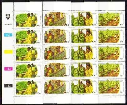 VENDA - BANANA CULTIVATION - SET OF FINE UM CONTROL STRIPS OF 5