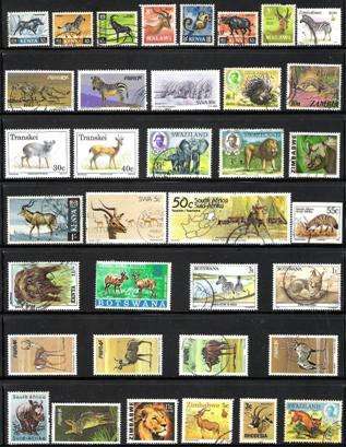 THEMATICS - WILD ANIMALS OF AFRICA