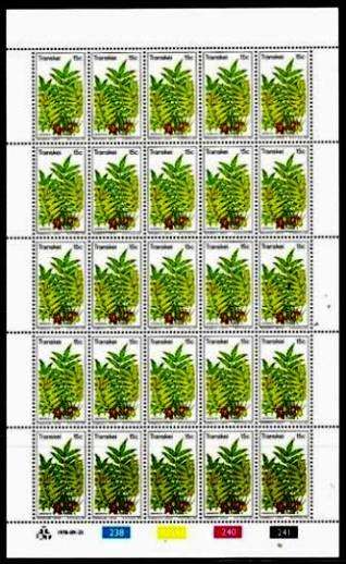 TRANSKEI - SET OF 4 FULL SHEETS OF 25 MNH STAMPS EACH - EDIBLE WILD FRUITS 1978.