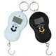 New Arrival Smile face Hanging Fishing Scale models 50Kg *10g Electronic BackLight Luggage Pocket We