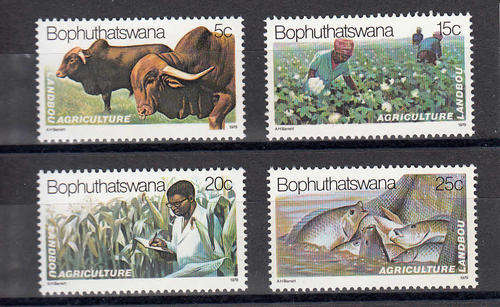BOB:  SACC 51-54:  25.10.1979 - AGRICULTURE  SET OF 4. U/MINT (**)