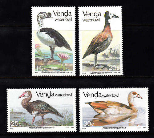 VENDA: SACC 151-154: 8.1.1987: WATERFOWL SET OF 4. U/MINT (**)