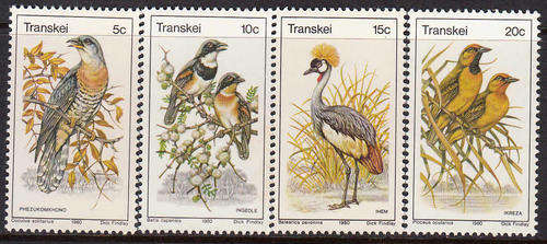 TRANSKEI SACC 75-78: 30.7.1980: BIRDS SET OF 4. U/MINT (**)