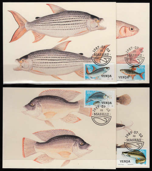 VENDA: SACC 160-163: MAXI CARDS NO 50-53: FRESHWATER FISH DATED 2.7.1987