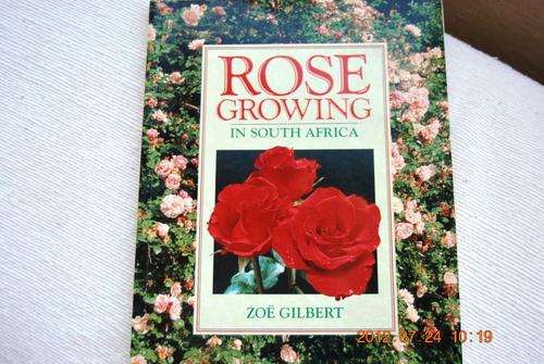 ROSE GROWING IN SA