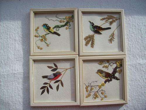 RHODESIAN WILD FLOWERS