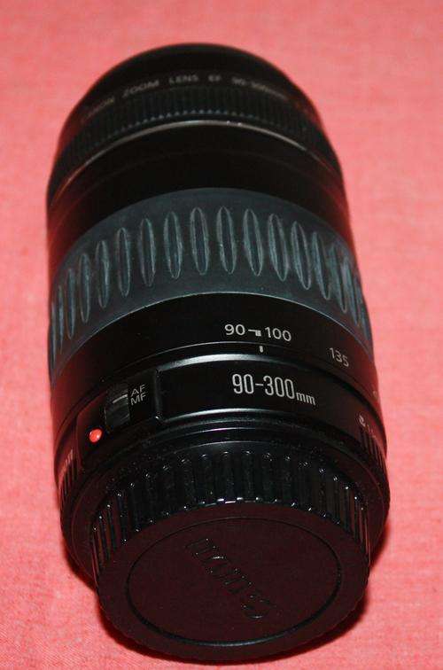 Canon EF 90-300 mm Lens