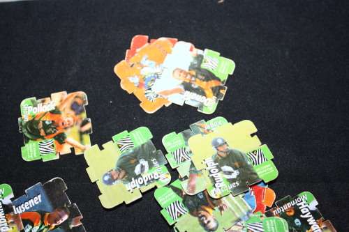 90 Simba Cricket Tazo's