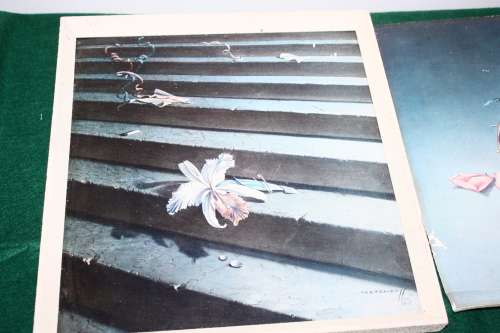Trechikoff Print