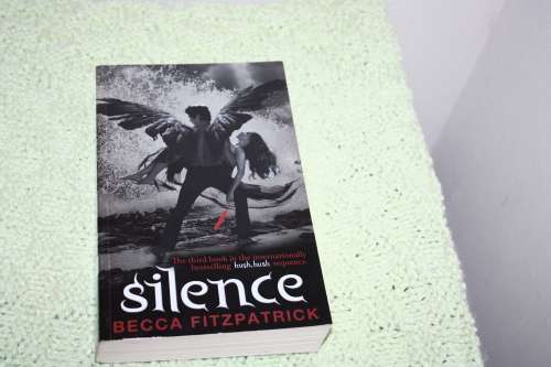 Becca Fitzpatrick Silence