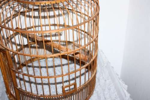 Bamboo Bird Cage