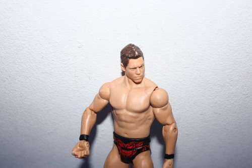 WWE Action Figure No 1
