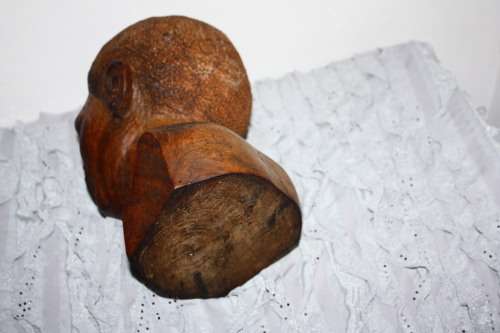 Carved Wooden Bust - Female