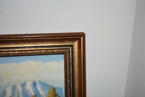 2 Oil Paintings