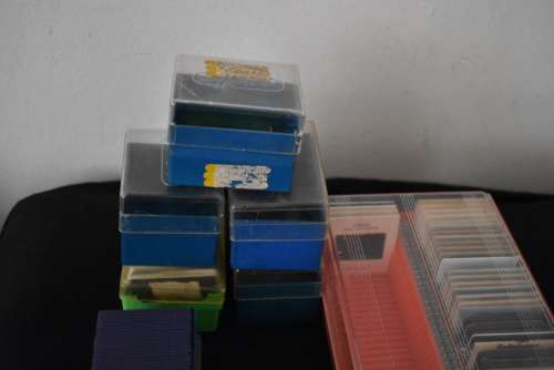 Assortment of Slides and Slide Carousel