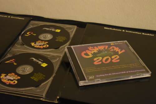 Cashflow 202
