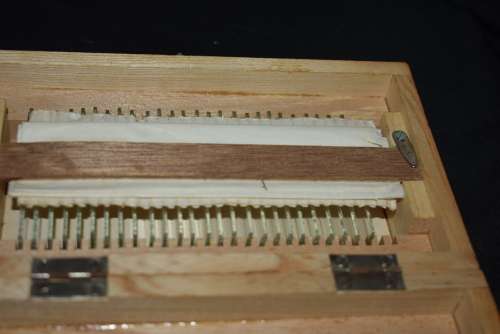 Boxed Microscope. Slides and Extra's