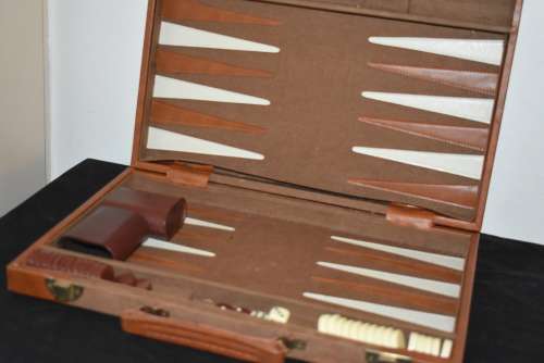 Backgammon in Case