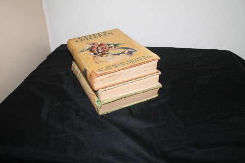 Heidi x 3 Books