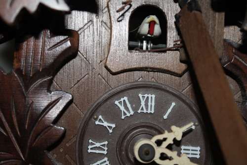 Cuckoo Clock