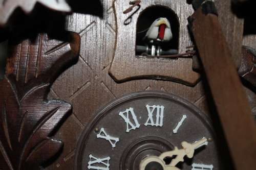 Cuckoo Clock