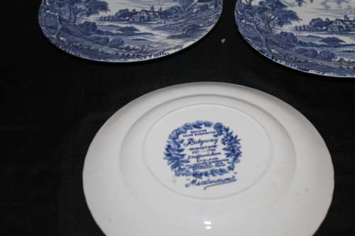 1 Ridgway Meadowsweet Plates