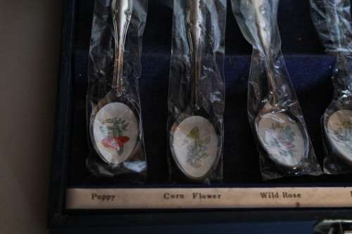 Teaspoons with Flowers