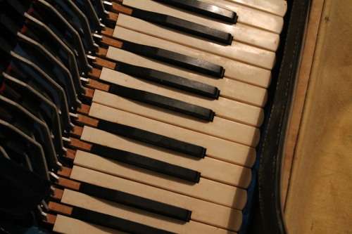 Piano Accordian