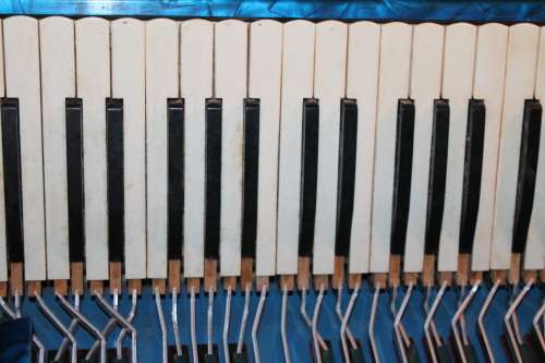 Piano Accordian